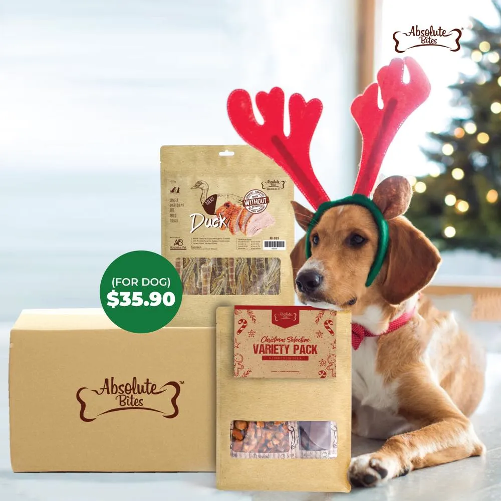 Absolute Bites Dog Treats Surprise Box