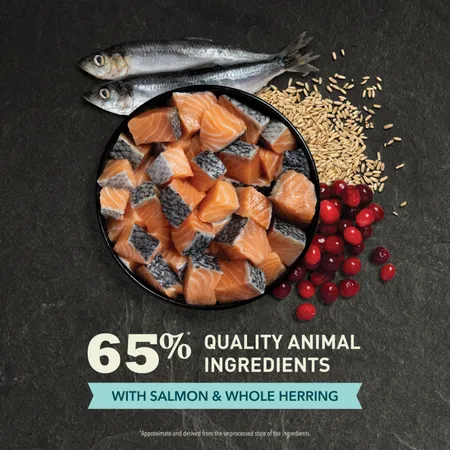 Acana Bountiful Catch, Dry Cat Food