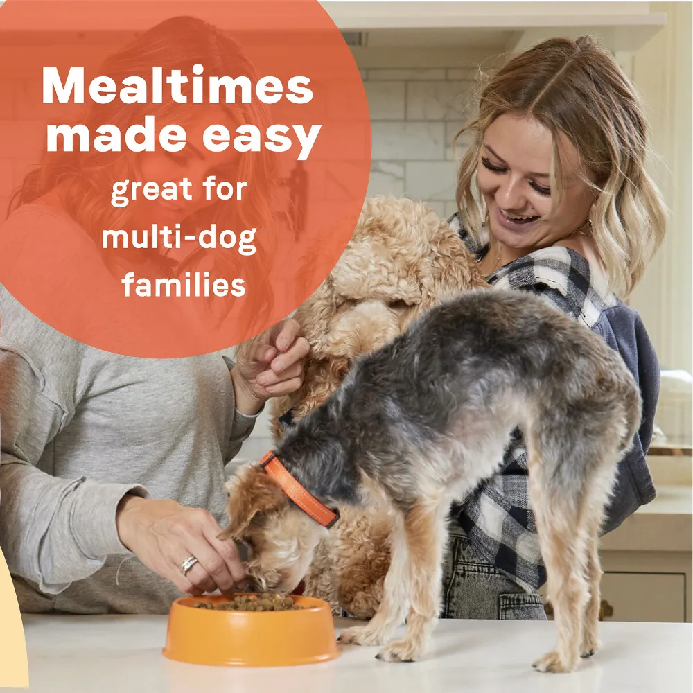 All Life Stages Chicken Meal and Rice Dog Food