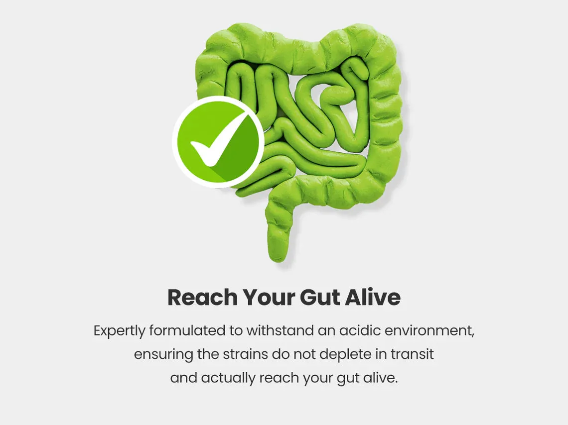 Bio Culture Probiotics Complex - 45 Billion CFU 17 Live Strains - 60 Capsules
