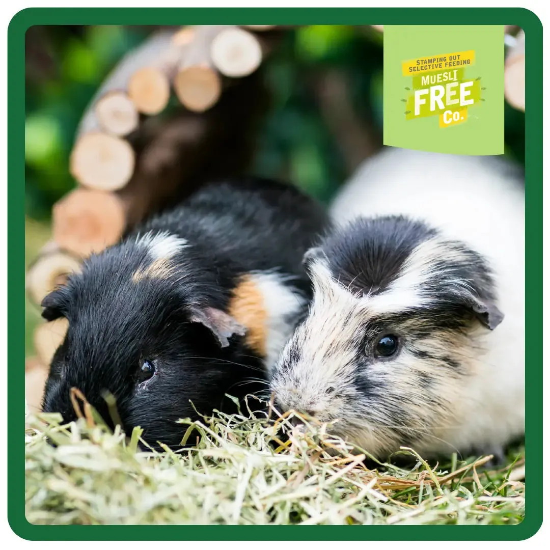 Burgess Excel | Guinea Pig Food | Adult Nuggets - 1.5kg