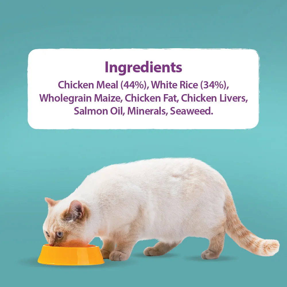 Burns | Dry Cat Food | Gluten Free Original Chicken - Kitten