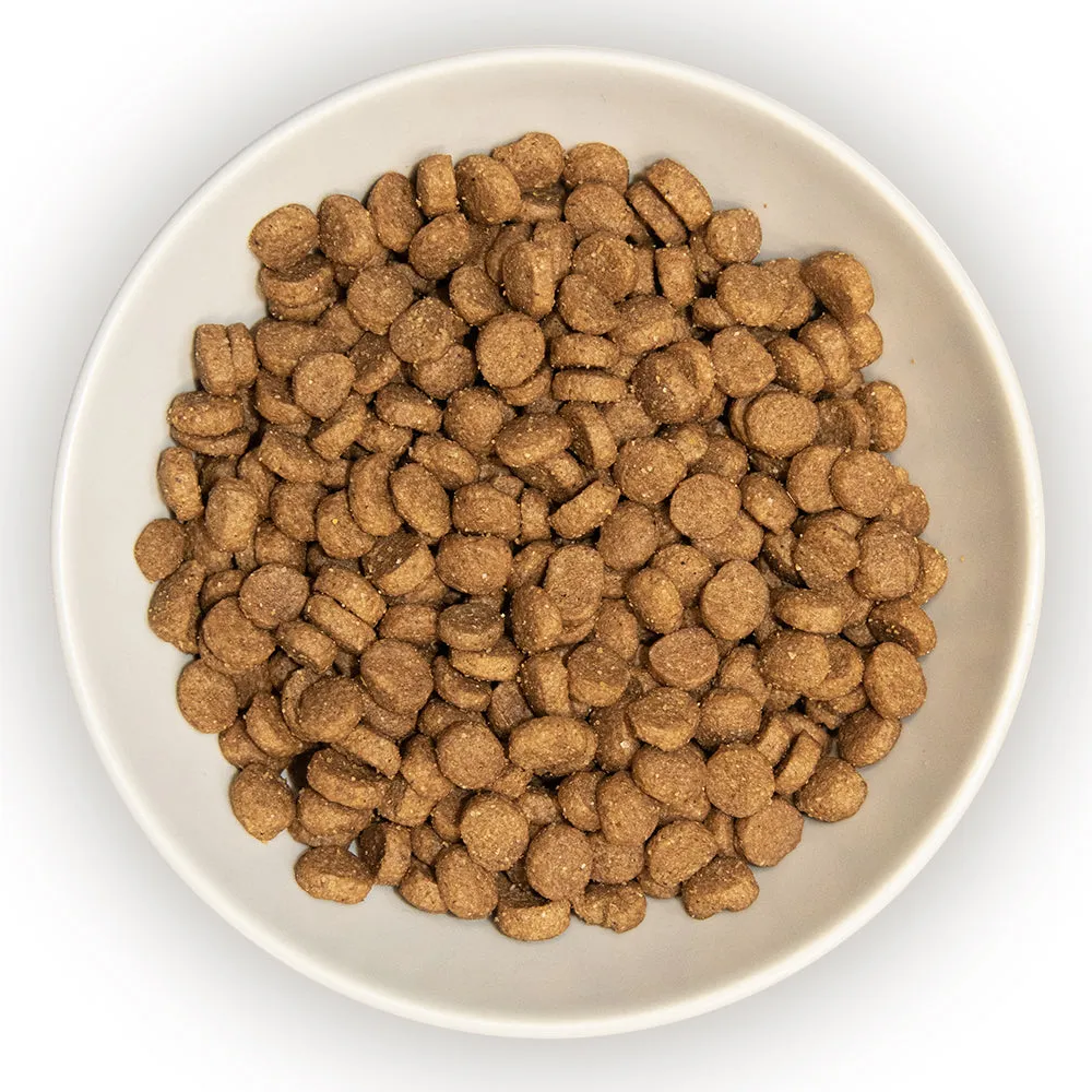 Burns | Dry Cat Food | Gluten Free Original Chicken - Kitten