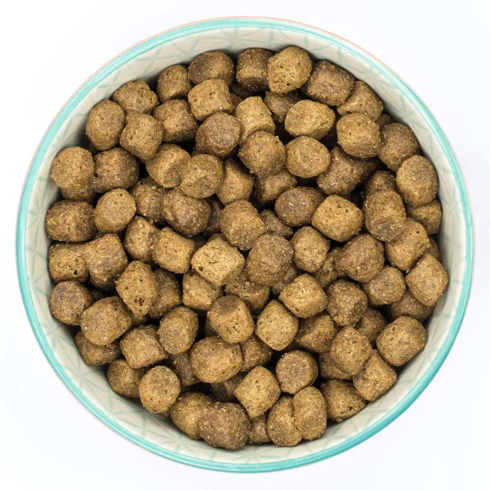 Burns Original | Holistic Gluten Free Dry Dog Food | Puppy | Chicken & Rice