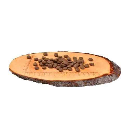 Carnilove Dry Puppy Food with Salmon & Turkey 12kg