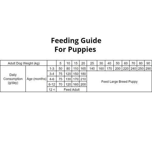 Carnilove Dry Puppy Food with Salmon & Turkey 12kg