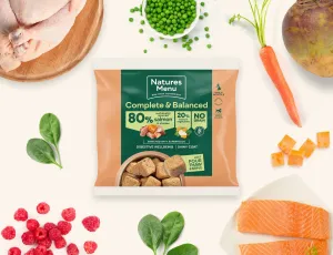 Complete & Balanced 80/20 Salmon & Chicken Nuggets