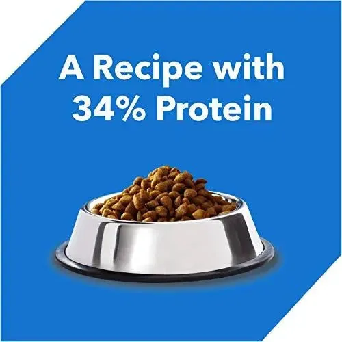 Drools Kitten(1-12 Months) Dry Cat Food, Ocean Fish, 3kg