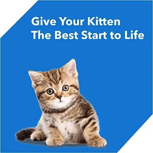 Drools Kitten(1-12 Months) Dry Cat Food, Ocean Fish, 3kg
