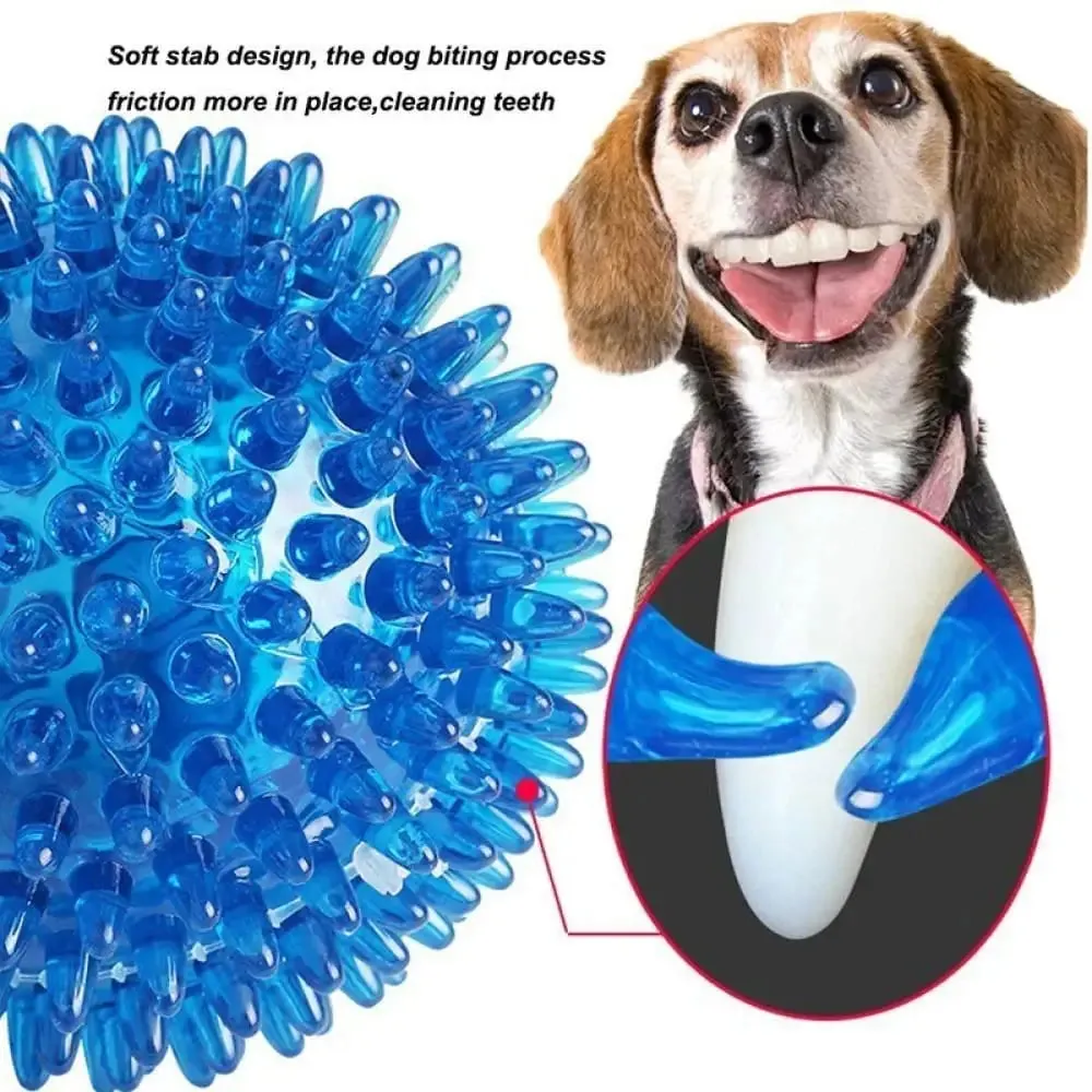 Durable Elastic Teeth Cleaning Squeak Chew Dog Ball Toy for Small, Medium, and Large Dog