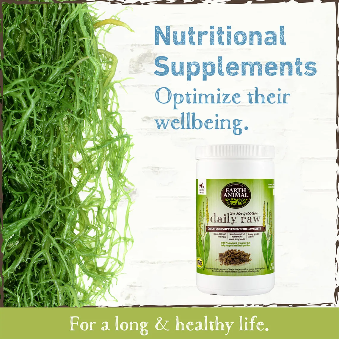 Earth Animal Daily Raw Food Nutritional Supplement Powder for Cats & Dogs