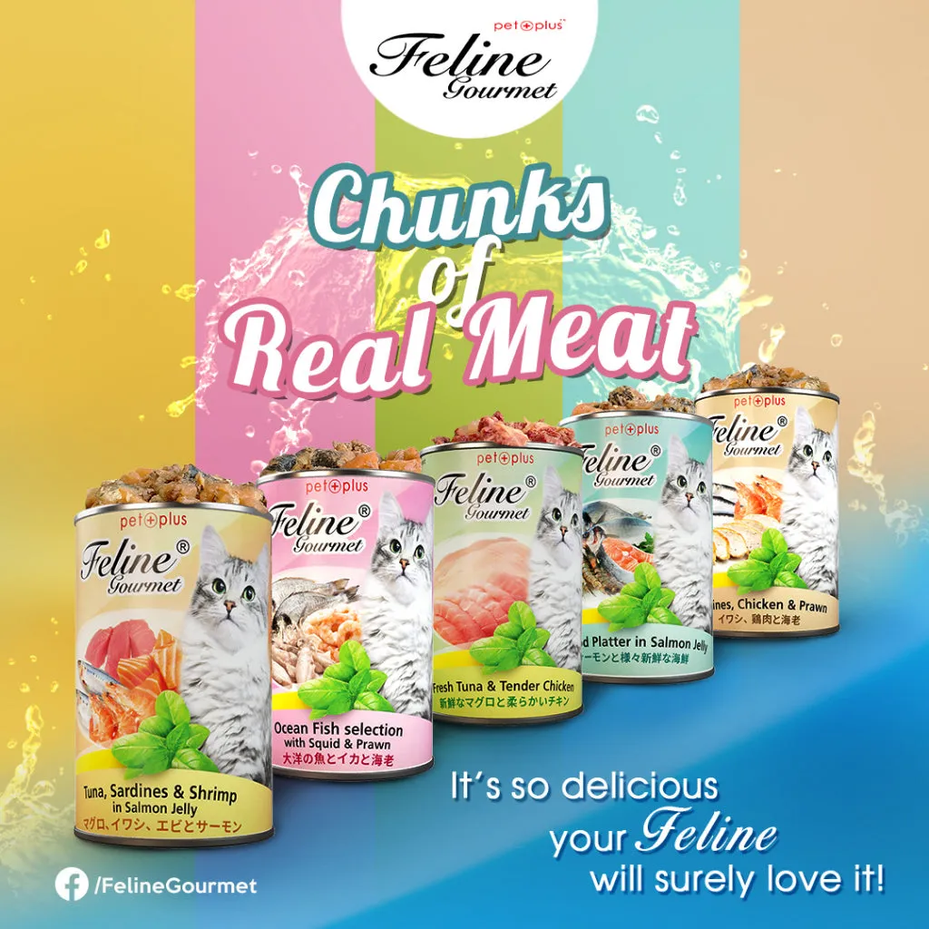 Feline Gourmet Wet Cat Food in 400g Can for Adult/Kitten Grain-Free