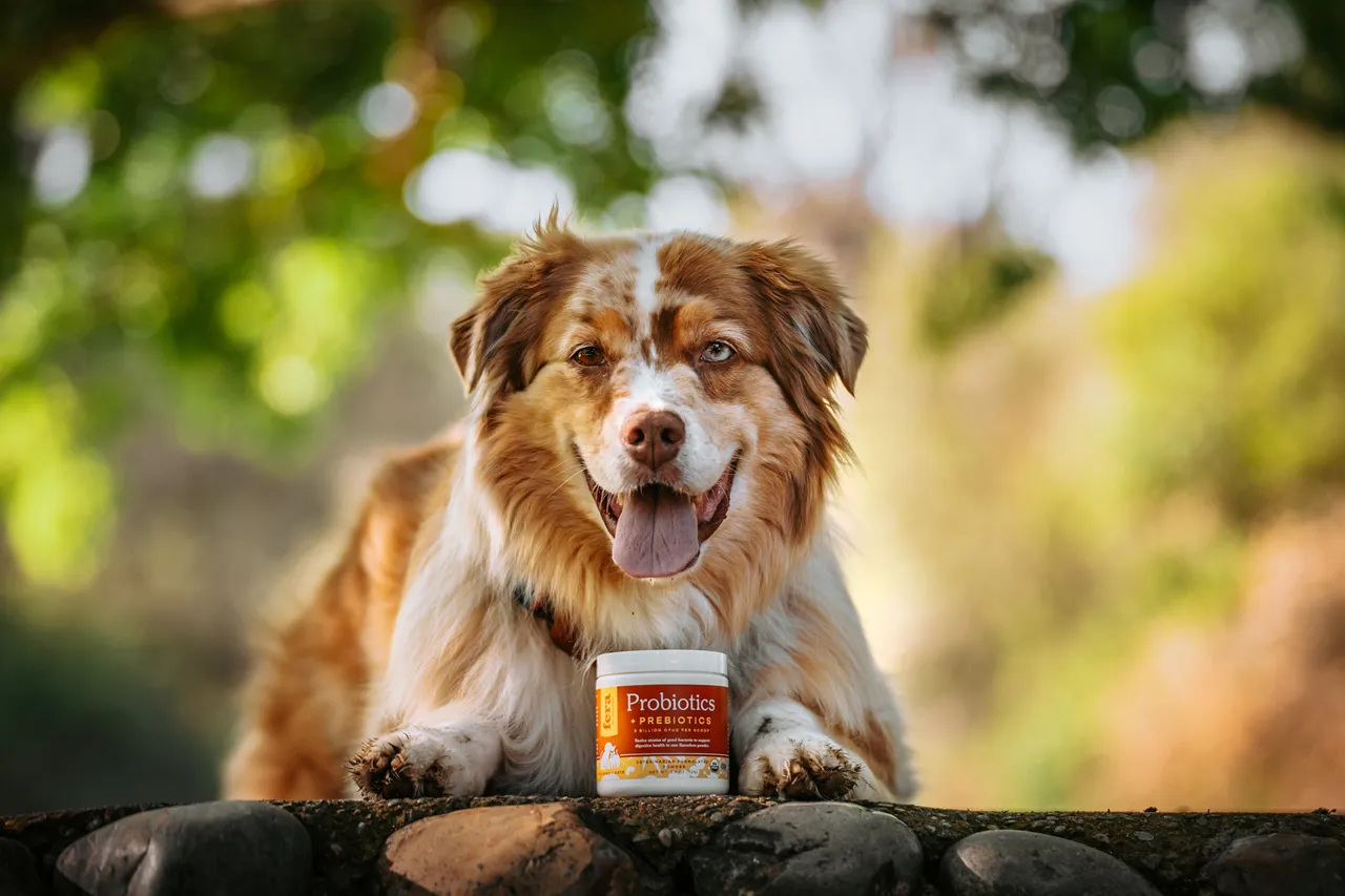 Fera Pet Organics Dog and Cat Supplement, USDA Organic Probiotics with Prebiotics