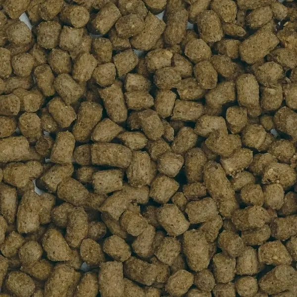 Fluval Bug Bites Slow Sinking Pellets Goldfish Formula, 100g