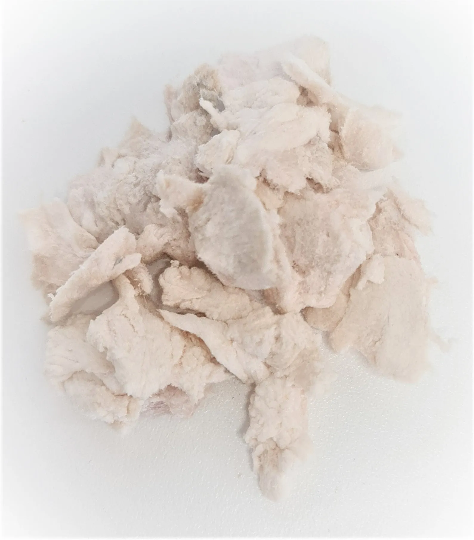 FREEZE DRIED CROCODILE BITES