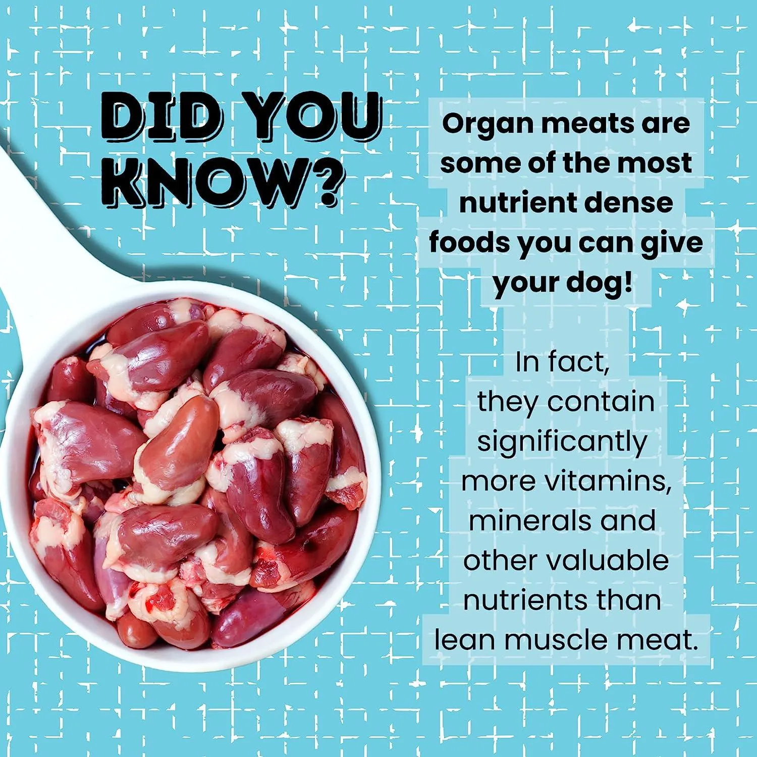 Freeze Dried Duck Hearts for Dogs & Cats