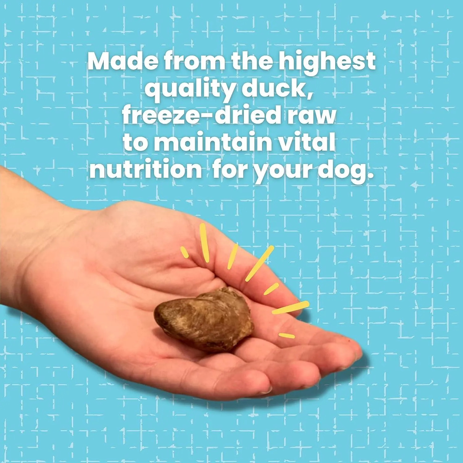 Freeze Dried Duck Hearts for Dogs & Cats