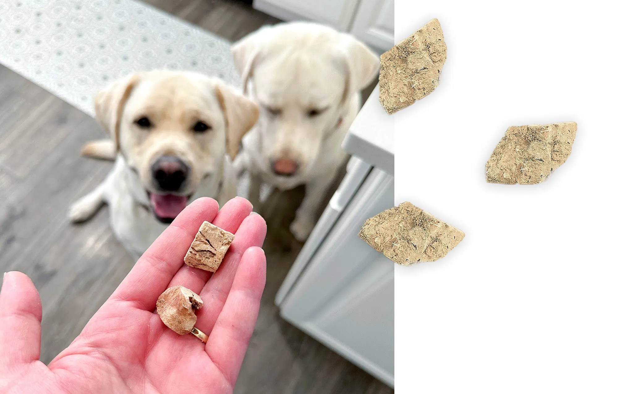 Freeze-Dried Treats