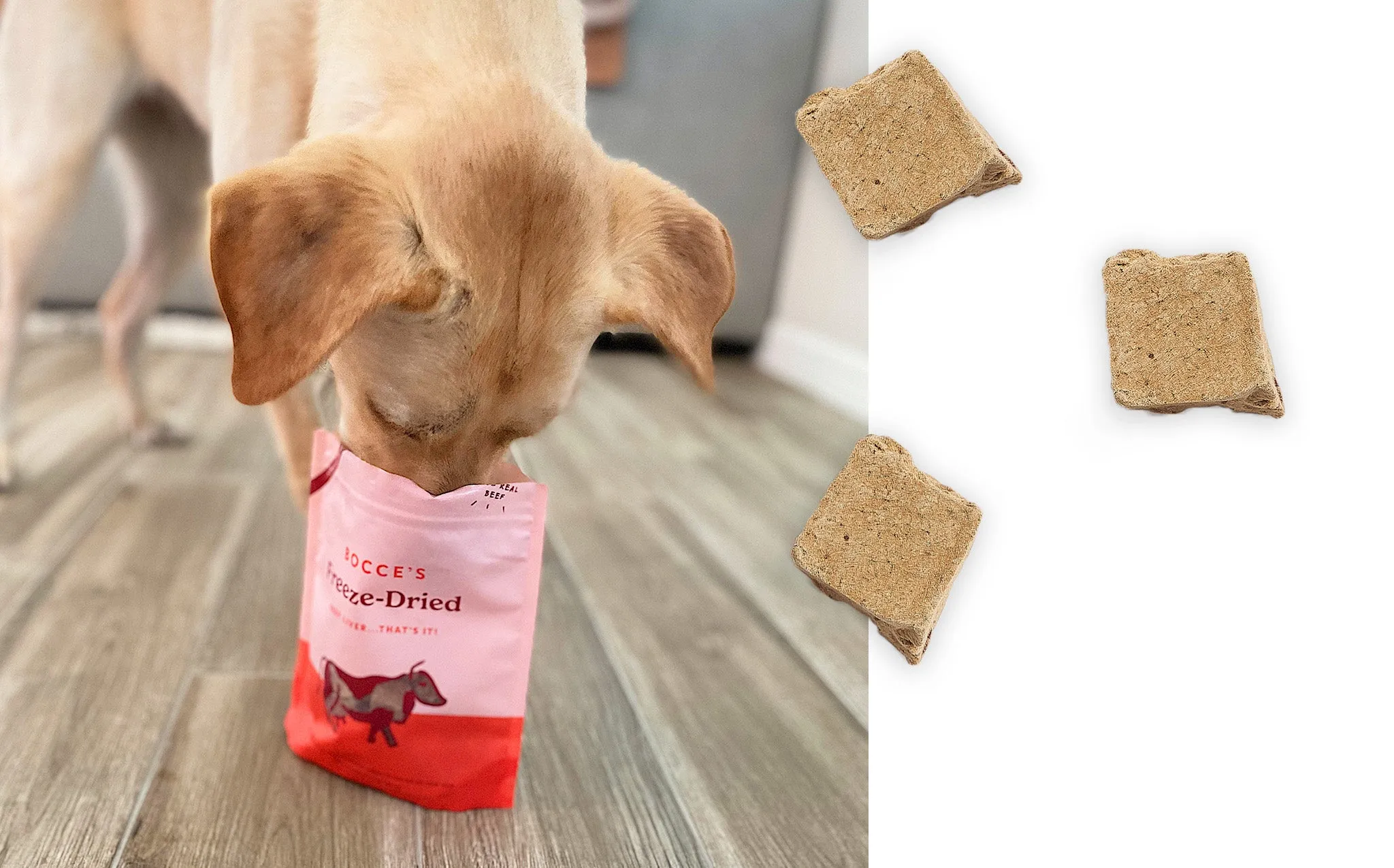 Freeze-Dried Treats