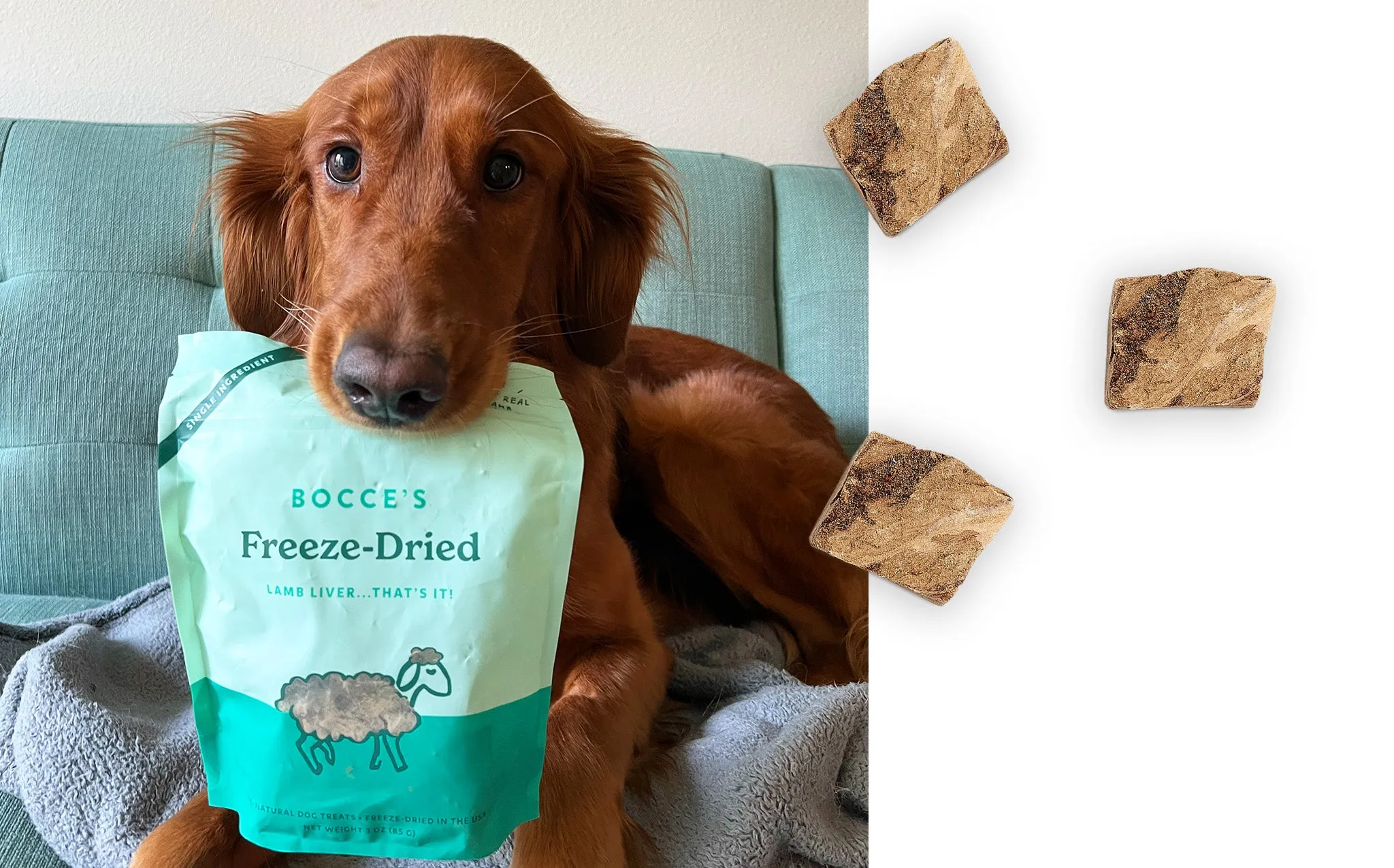 Freeze-Dried Treats