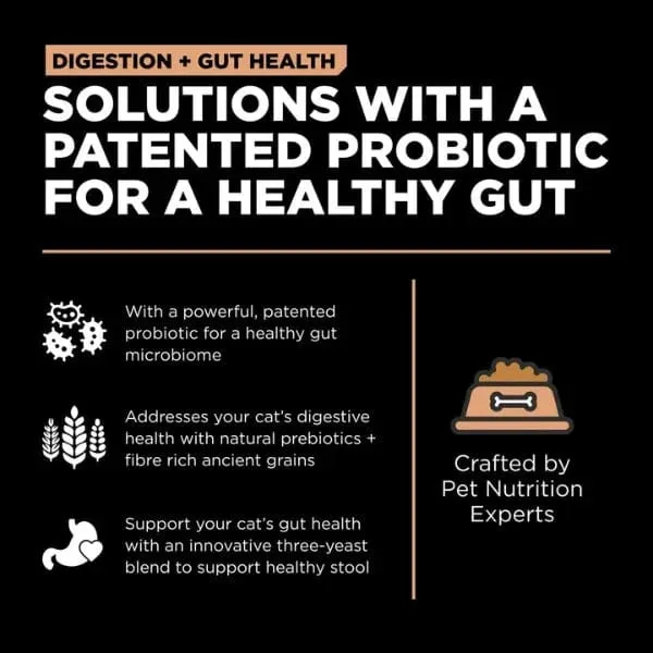 Go! Solutions Digestion   Gut Health, Salmon Recipe with Ancient Grains Dry Cat Food, 8lb