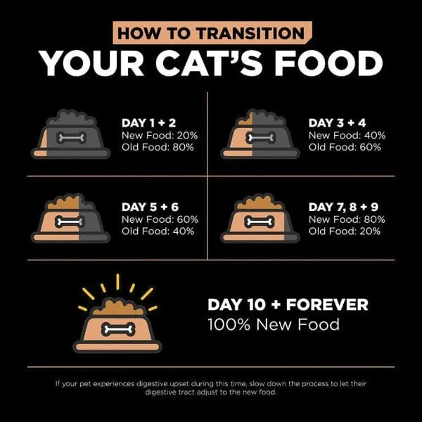 Go! Solutions Digestion   Gut Health, Salmon Recipe with Ancient Grains Dry Cat Food, 8lb