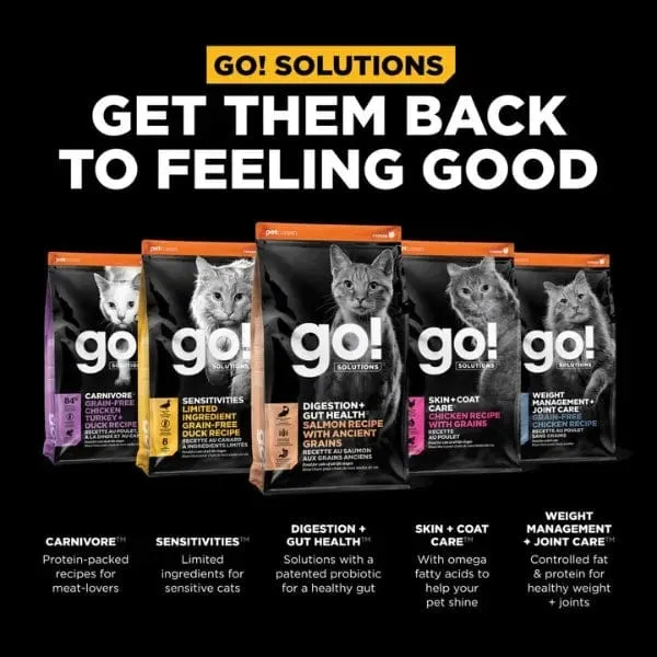 Go! Solutions Digestion   Gut Health, Salmon Recipe with Ancient Grains Dry Cat Food, 8lb