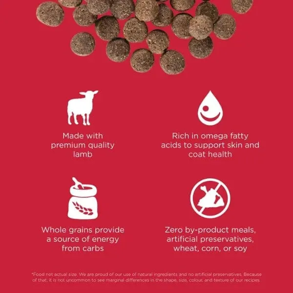 Go! Solutions Skin & Coat Care Lamb Recipe with Grains Dry Dog Food
