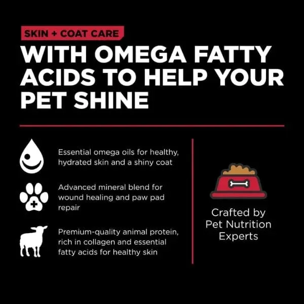 Go! Solutions Skin & Coat Care Lamb Recipe with Grains Dry Dog Food