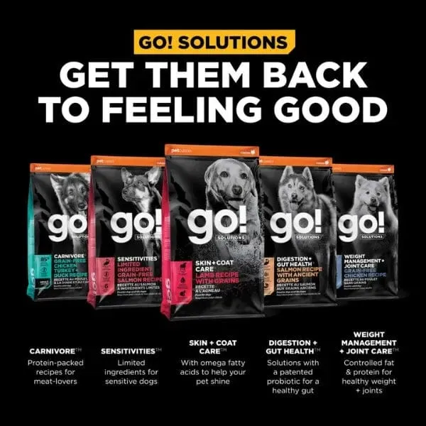 Go! Solutions Skin & Coat Care Lamb Recipe with Grains Dry Dog Food