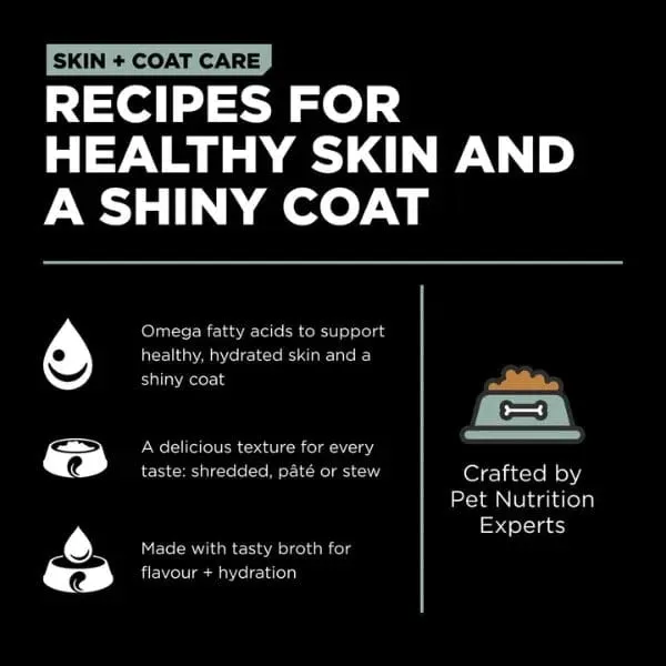 Go! Solutions Skin & Coat Care Turkey & Salmon Pate Wet Dog Food, 12.5oz