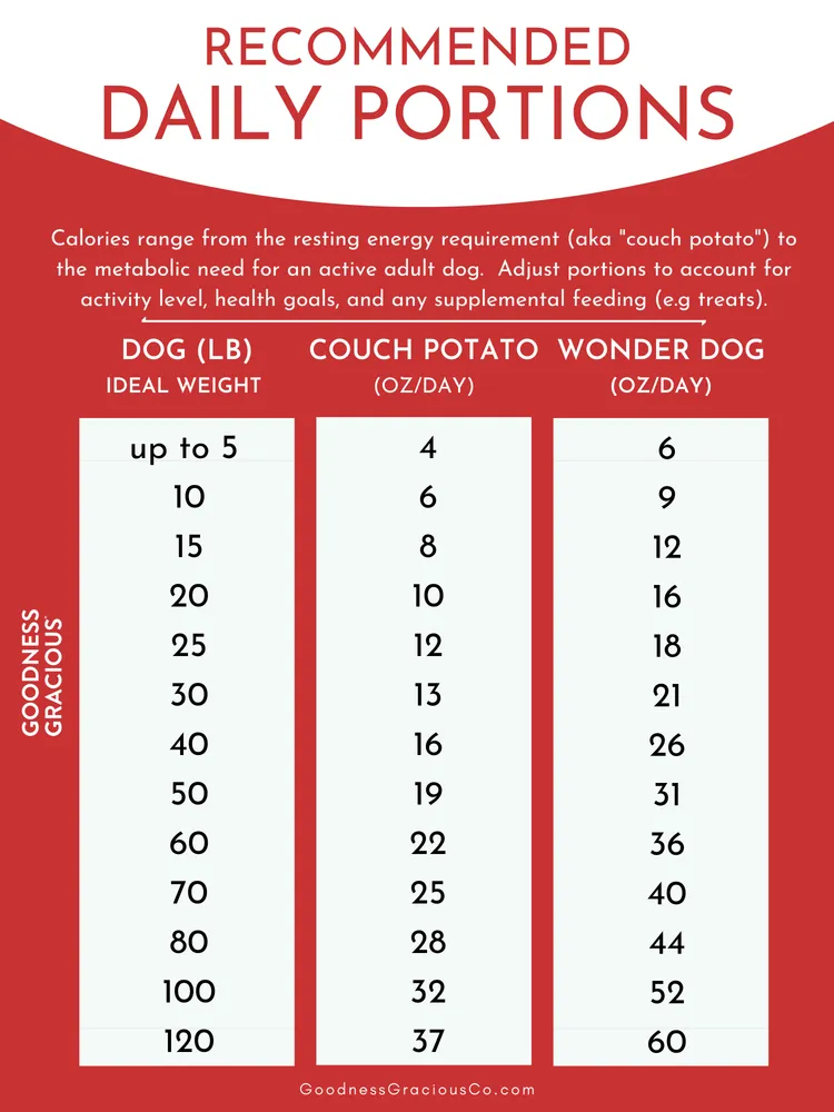 Goodness Gracious Human Grade Synthetic Free Beef Recipe Gently Cooked Frozen Dog Food