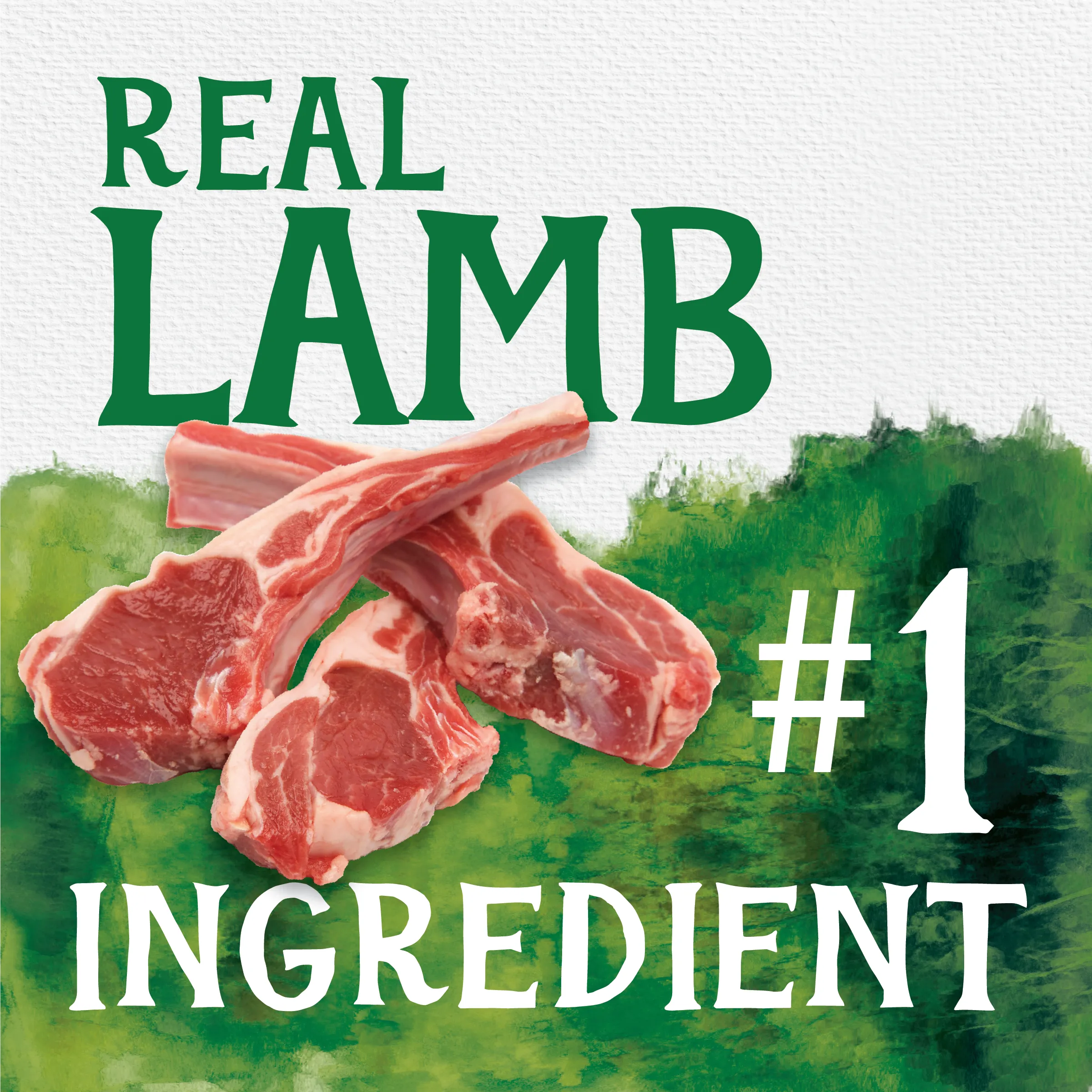 Grain Free Lamb & Butternut Squash Jerky Bites | 20 oz | Triumph