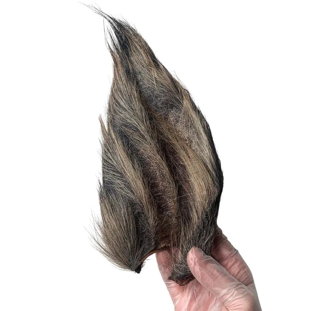 Harley's Furry Buffalo Ear