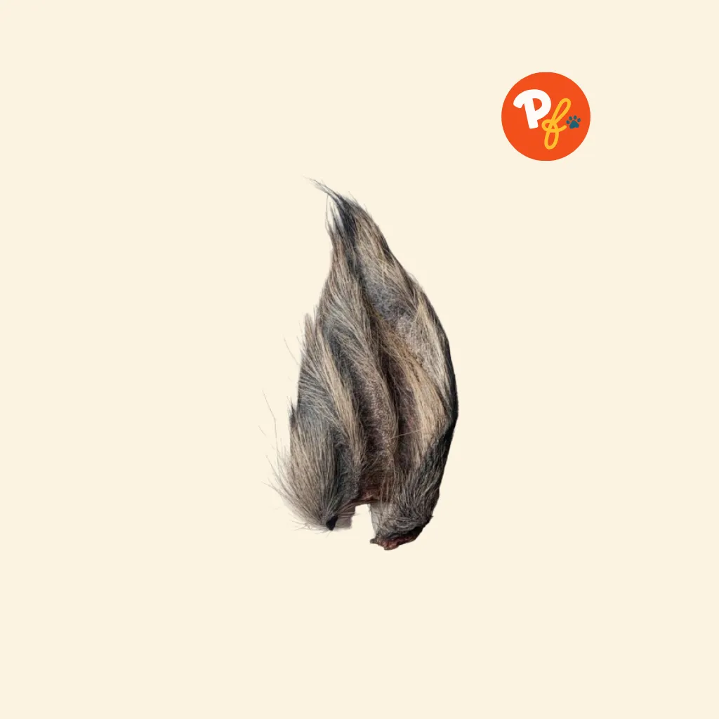 Harley's Furry Buffalo Ear