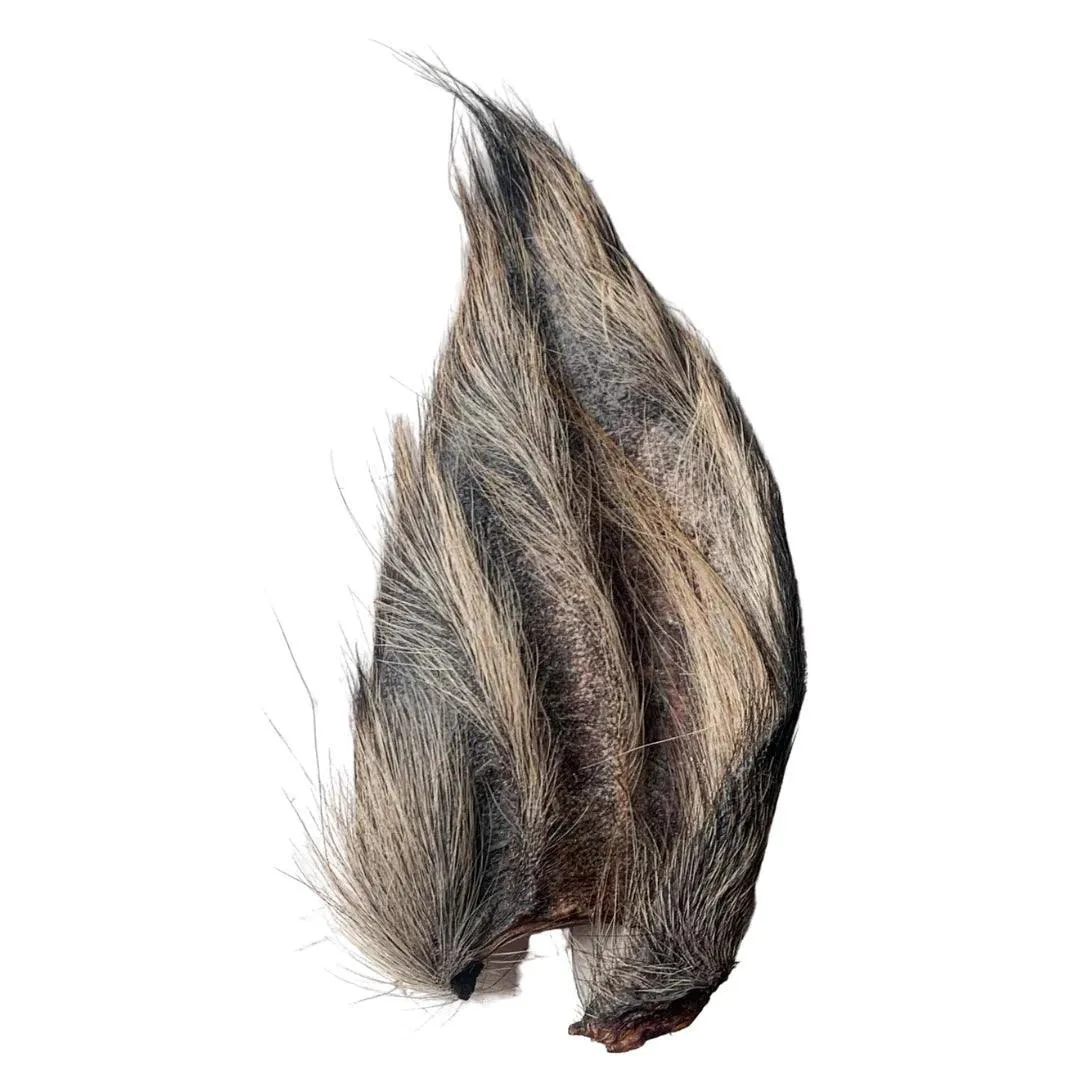 Harley's Furry Buffalo Ear
