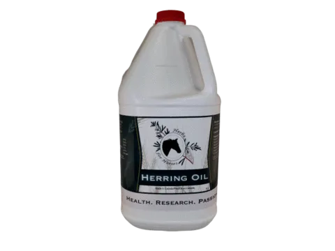 Herbs For Horses Herring Oil 4L