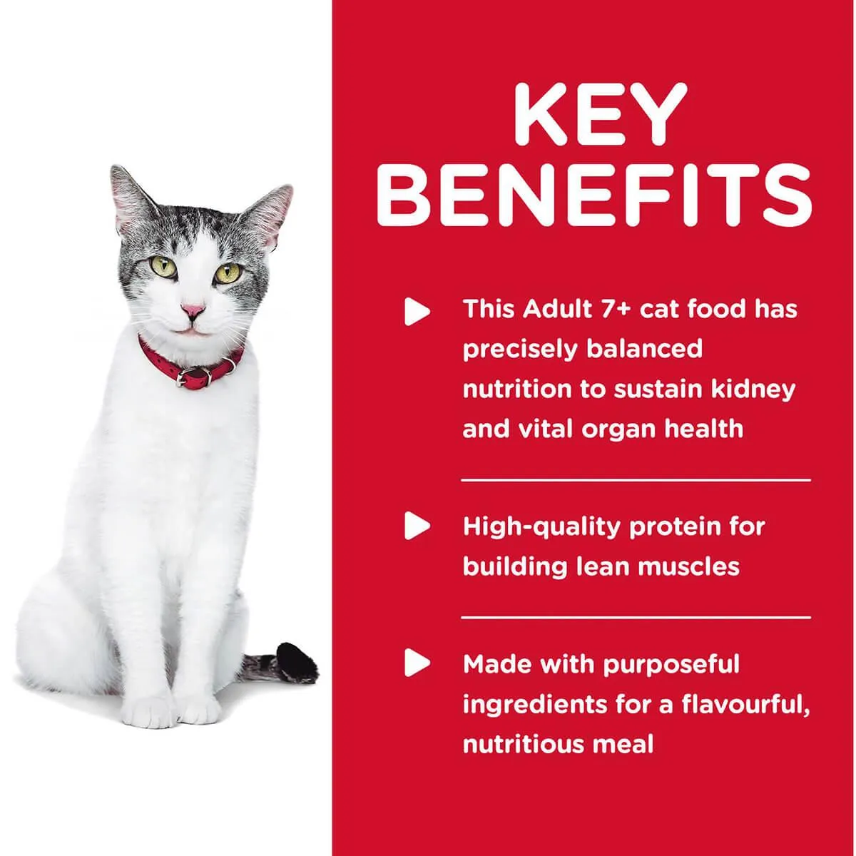 Hill's Science Diet 11  Senior Dry Cat Food