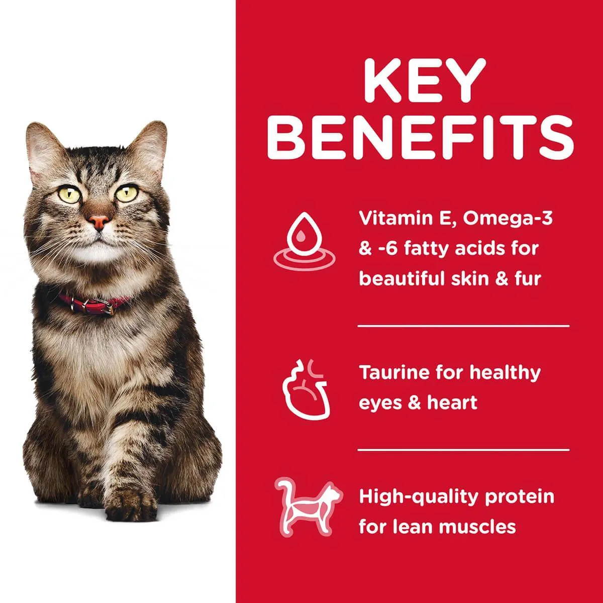 Hill's Science Diet Adult 7  Hairball Control Senior Dry Cat Food