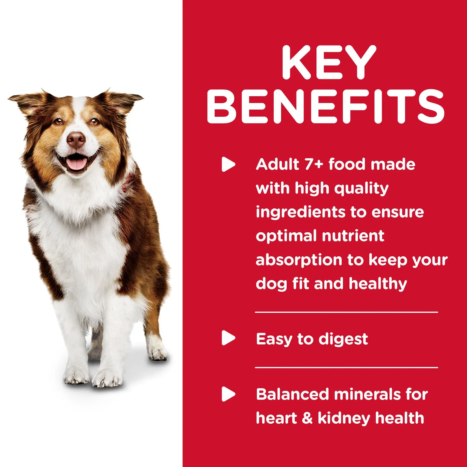 Hill's Science Diet Dog Food Can Adult 7  Savoury Stew Beef & Vegetables