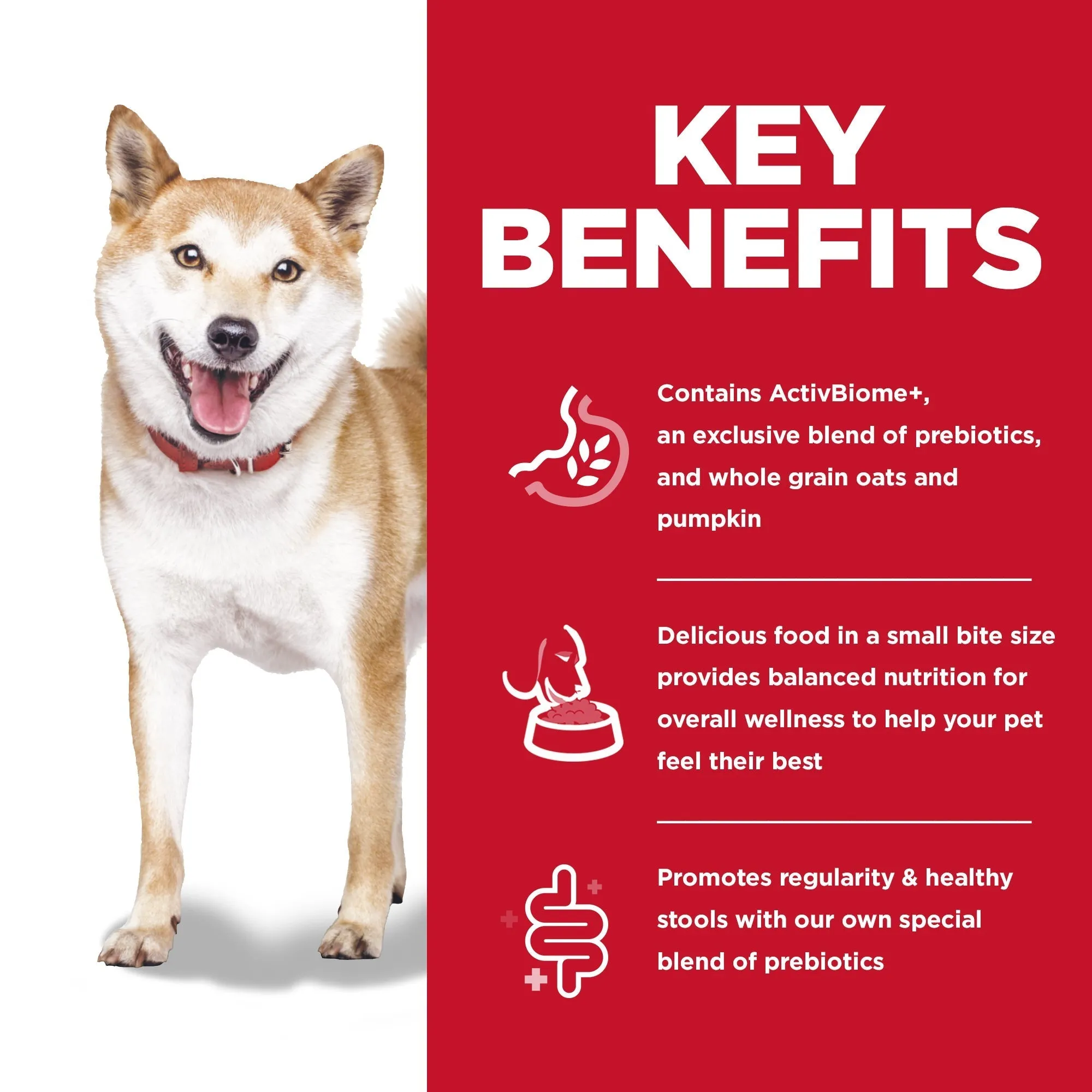 Hills Science Diet Perfect Digestion Small Bites Dry Dog Food 1.59kg***