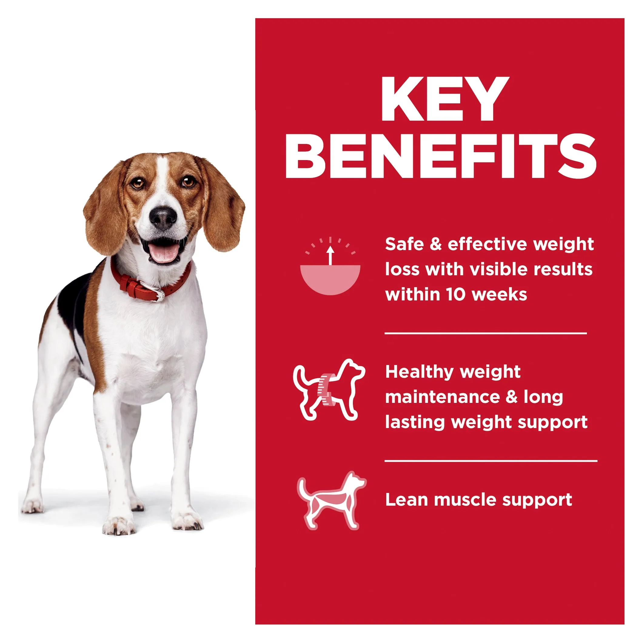 Hills Science Diet Perfect Weight Small Bites Adult Dog Dry Food 5.44kg^^^