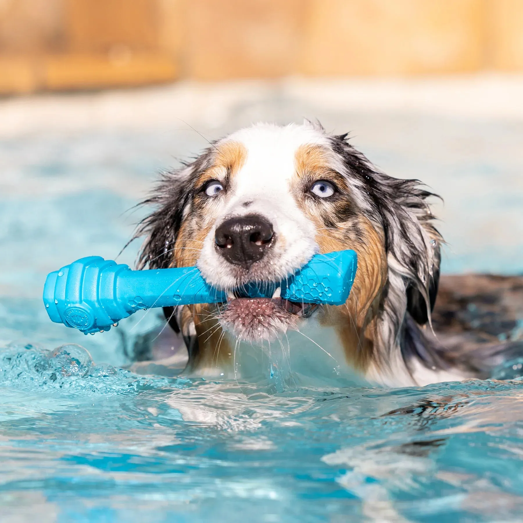 Hive Scented Fetch Stick