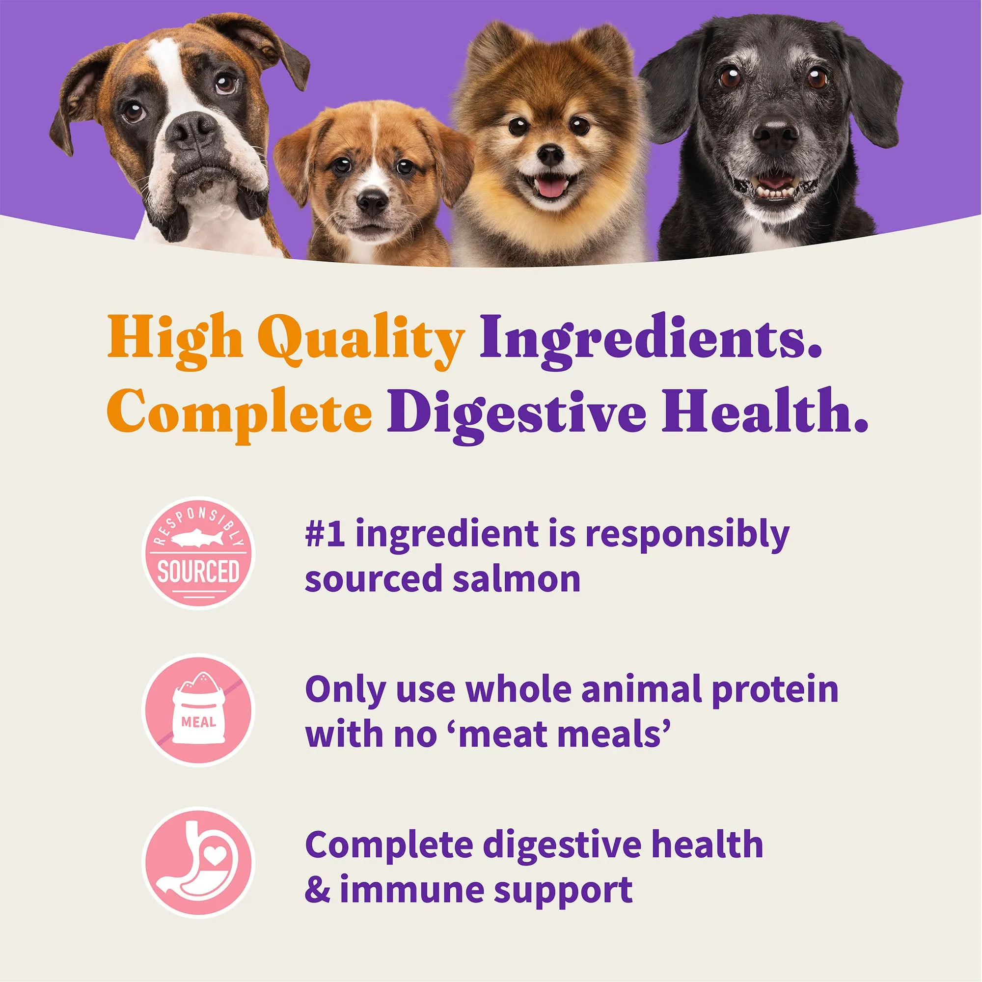Holistic Healthy Grains Wild-Caught Salmon & Whitefish Recipe Adult Dry Dog Food