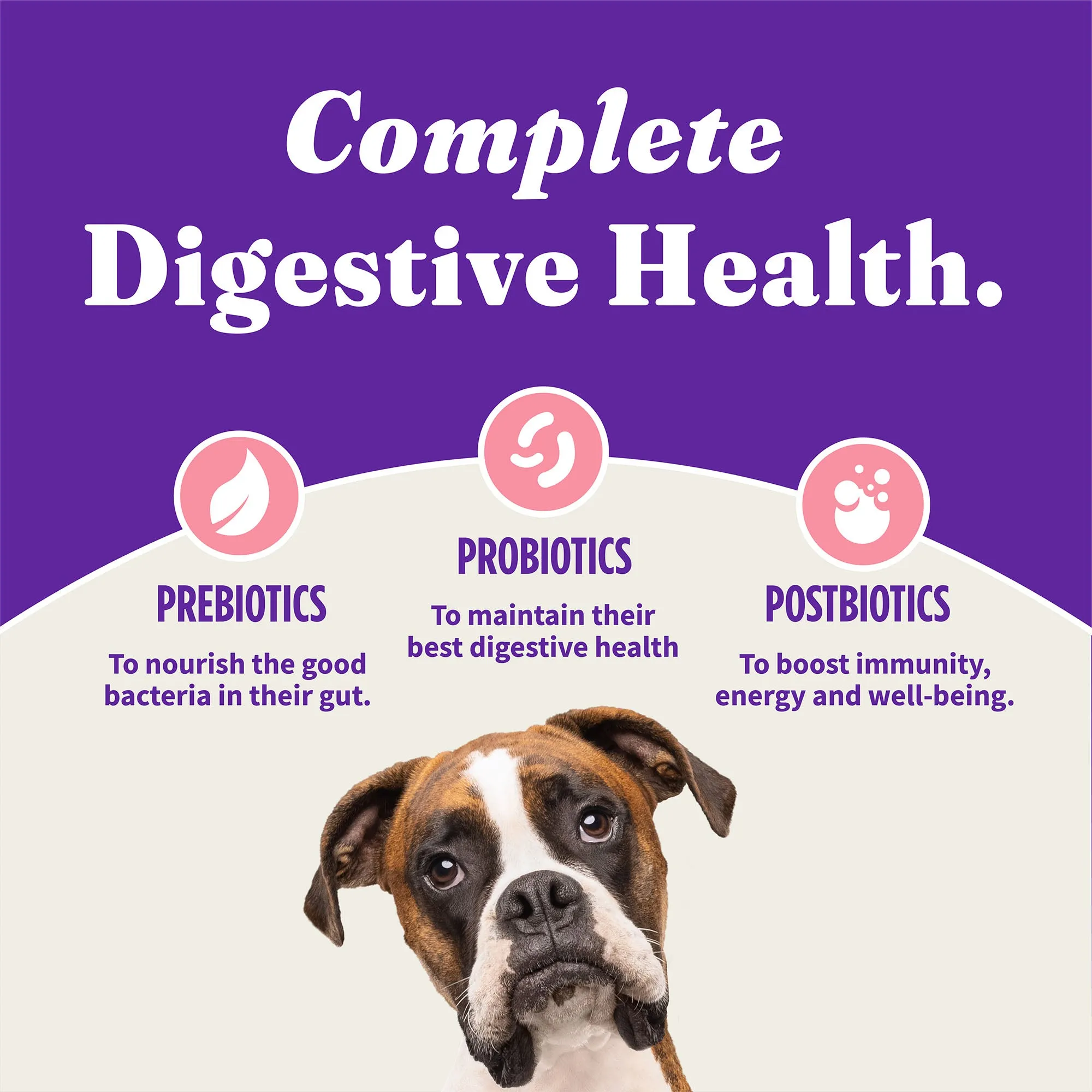 Holistic Healthy Grains Wild-Caught Salmon & Whitefish Recipe Adult Dry Dog Food