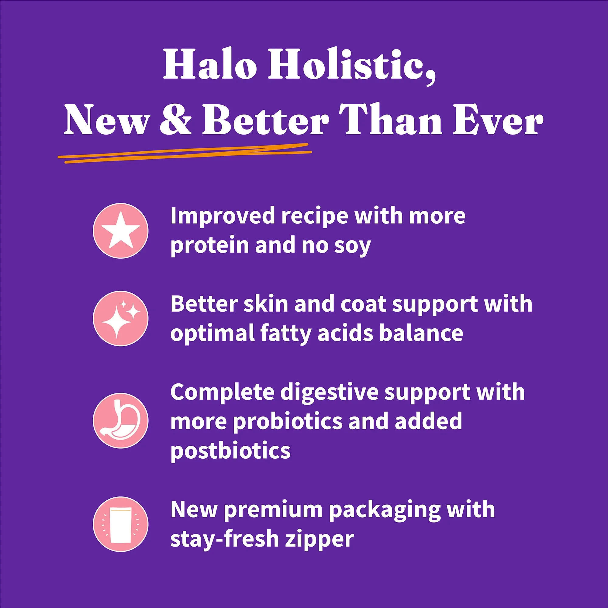 Holistic Healthy Grains Wild-Caught Salmon & Whitefish Recipe Adult Dry Dog Food