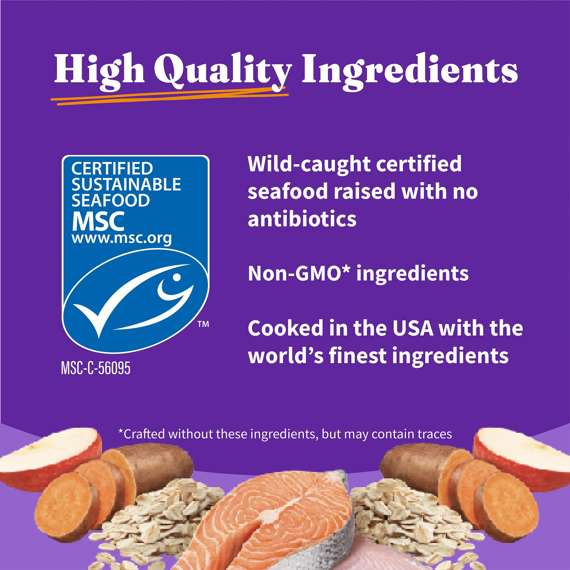 Holistic Healthy Grains Wild-Caught Salmon & Whitefish Recipe Adult Dry Dog Food