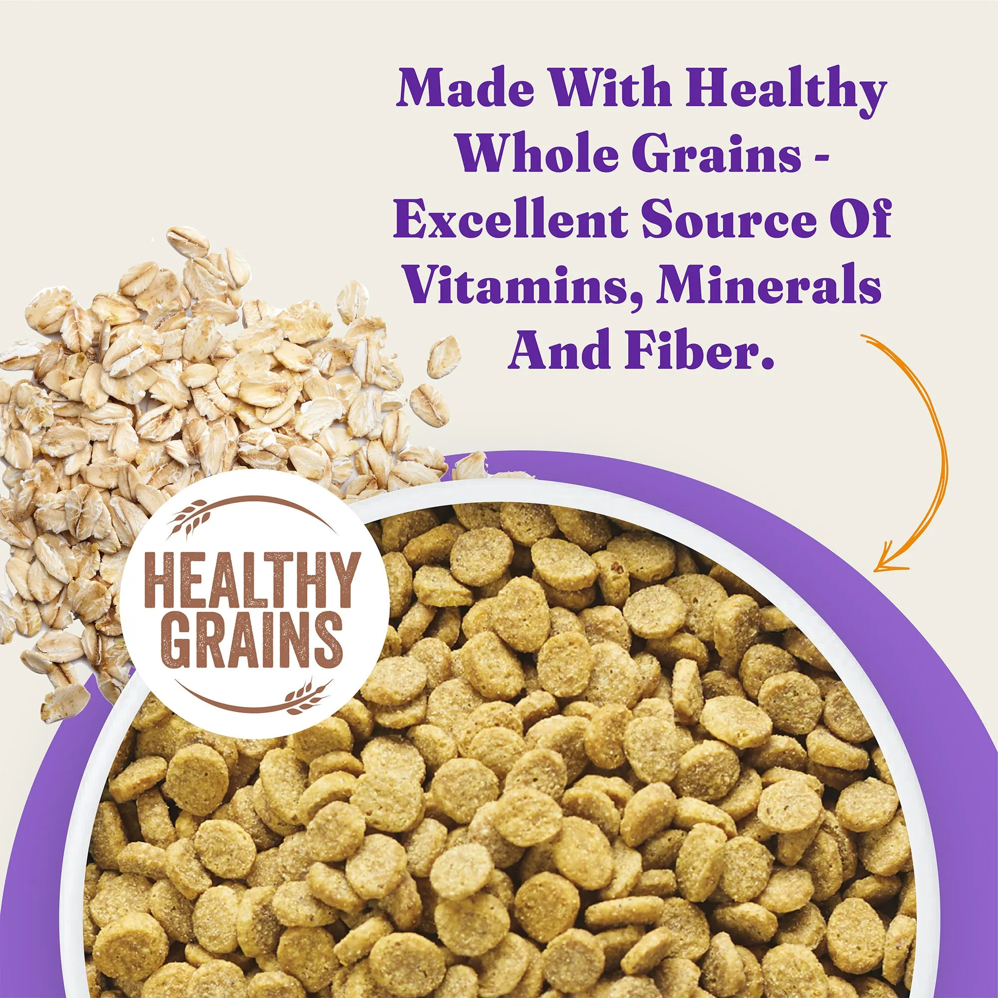 Holistic Healthy Grains Wild-Caught Salmon & Whitefish Recipe Adult Dry Dog Food