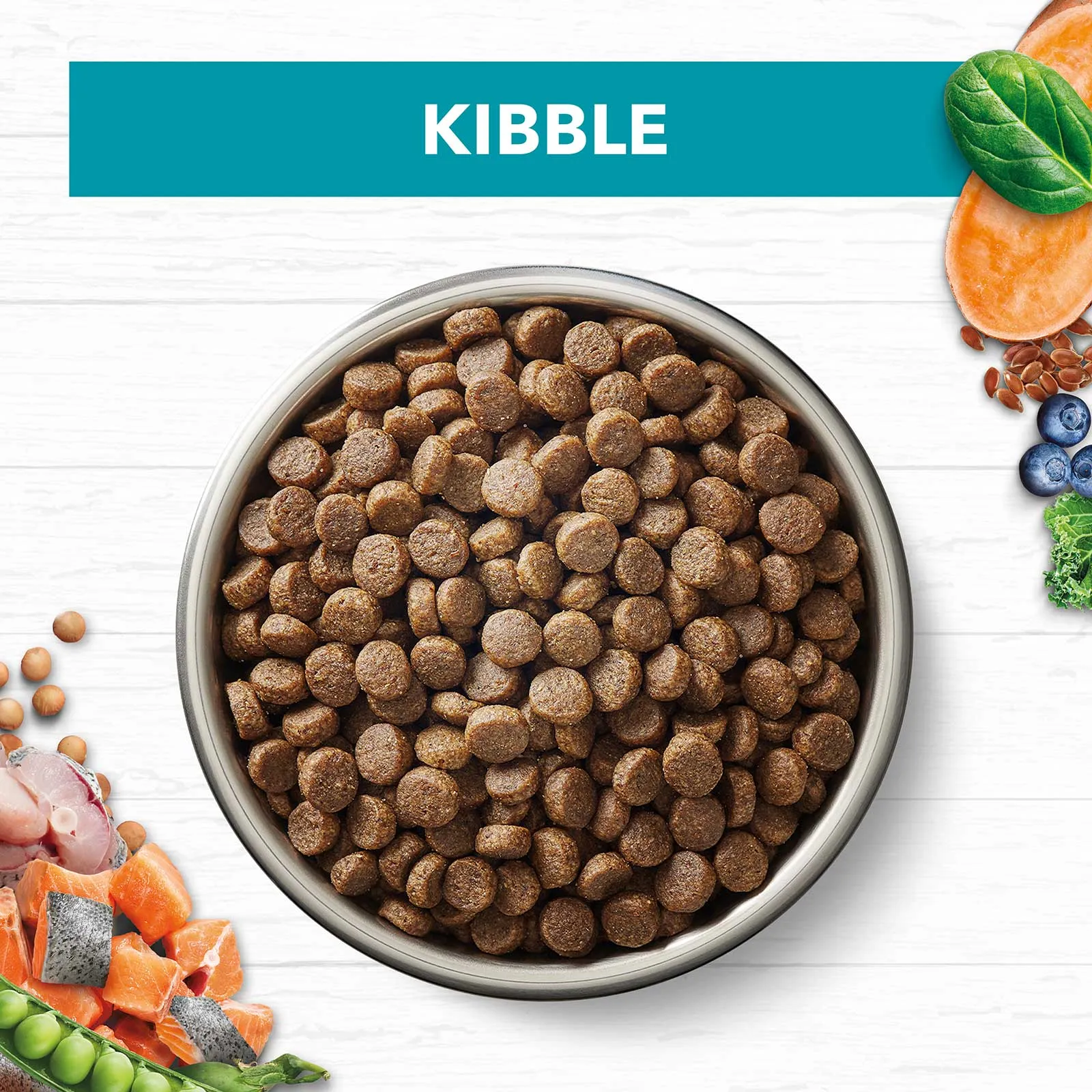 Ivory Coat Grain Free Cat Food Adult Ocean Fish & Salmon