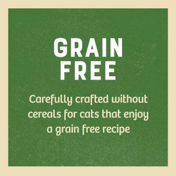 James Wellbeloved Senior Cat Pouch in Gravy Grain Free - Turkey 12 x 85g